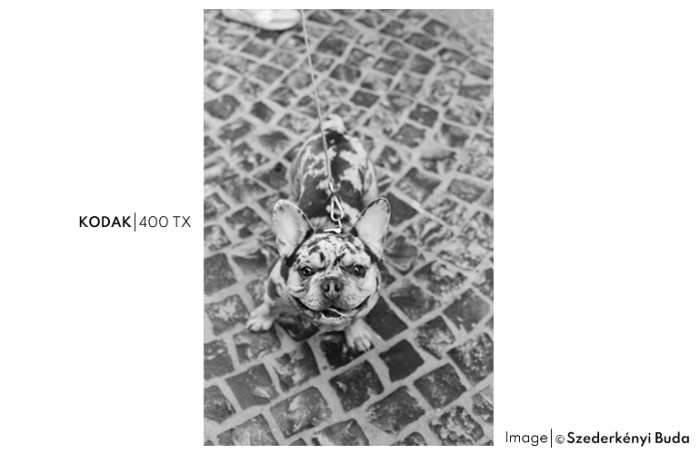400TX65