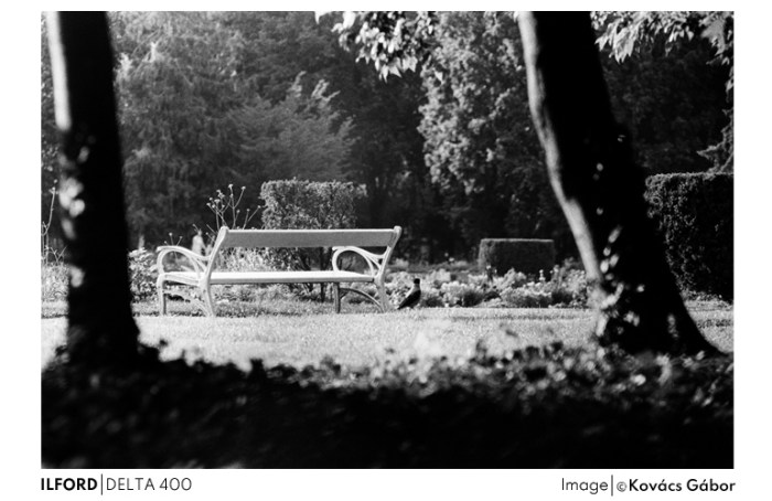 delta4008