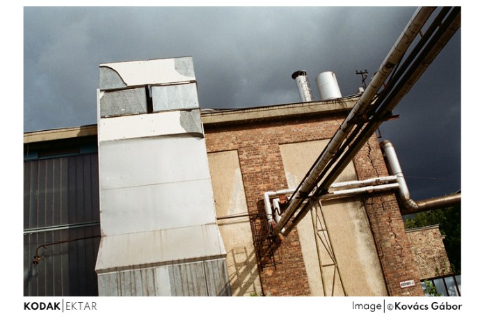 ektar_11